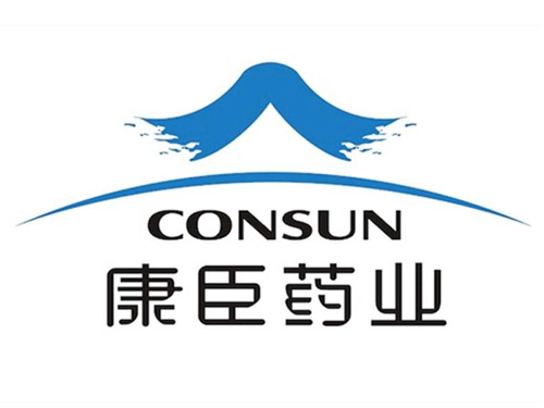 廣州康臣藥業-代理記賬服務